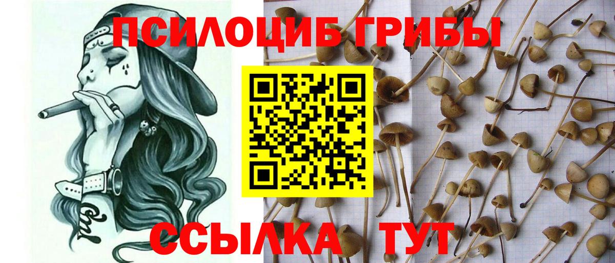 Галлюциногенные грибы мухоморы  Псилоцибиновые грибы Psilocybe  Похвистнево  Вход с VPN 
